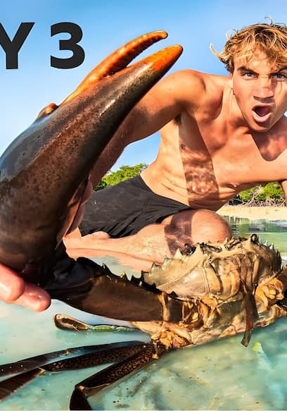 S01:E04 - Exotic Island Survival poster