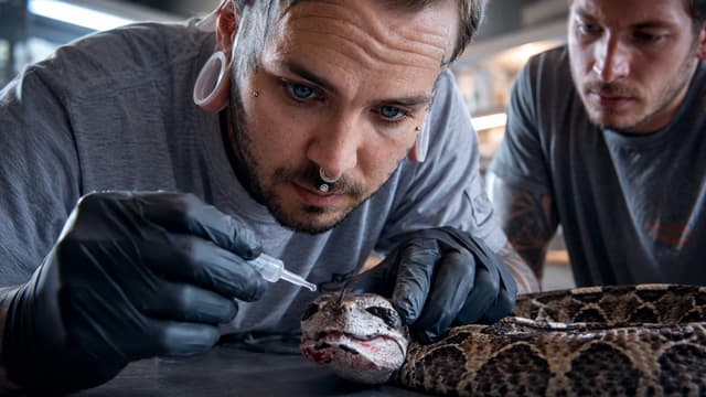 S01:E02 - Venom: The Dangerous Cure