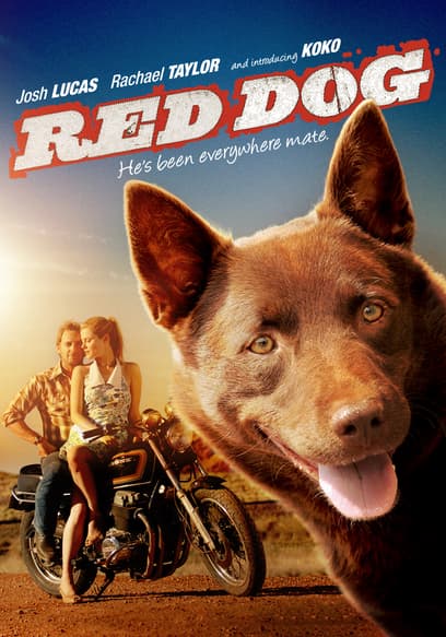 Red Dog (Doblado)