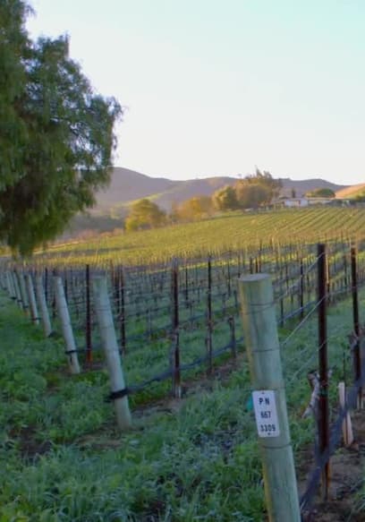 S01:E03 - Vineyard (California) poster