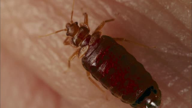 S16:E05 - Inside Your Walls