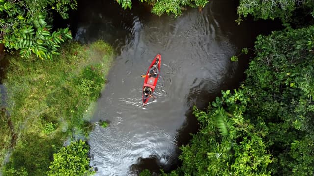 S03:E01 - Poisoned in the Amazon