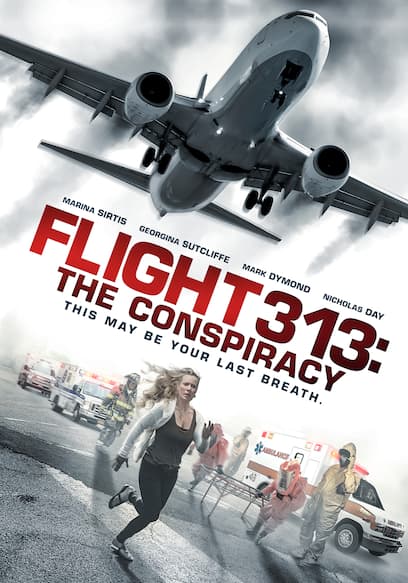 Flight 313: The Conspiracy