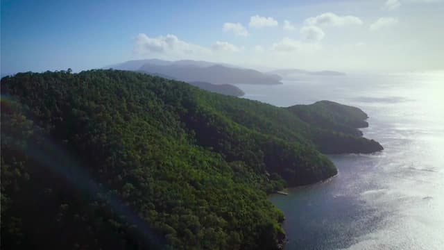 S04:E09 - Haunting on Plague Island