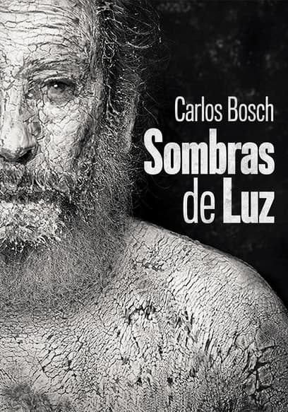 Sombras De Luz