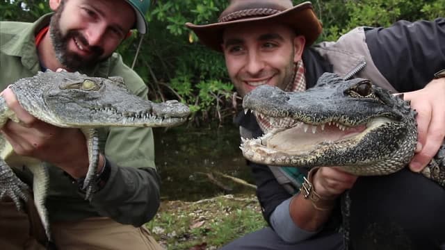 S02:E11 - Python Strikes and Bites