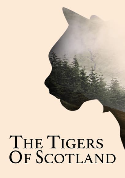 The Tigers of Scotland