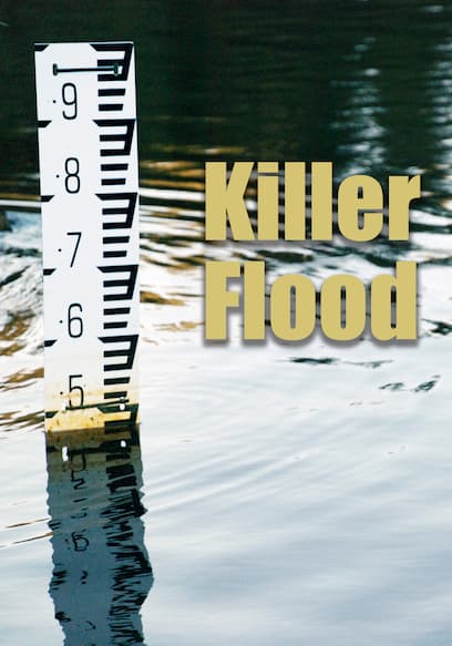 Killer Flood