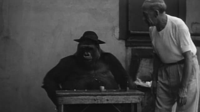 S01:E07 - Amazing Animals II