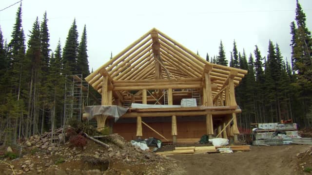 S03:E07 - Take to the Trees