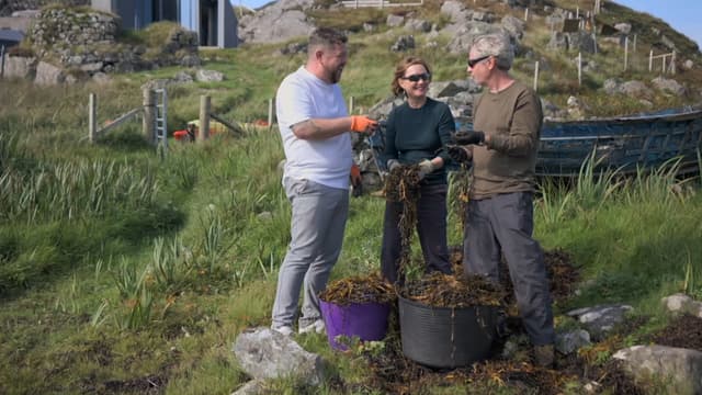 S02:E07 - Island and Coastal