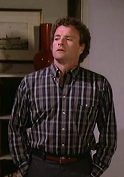 S09:E28 - The Perfect Alibi poster