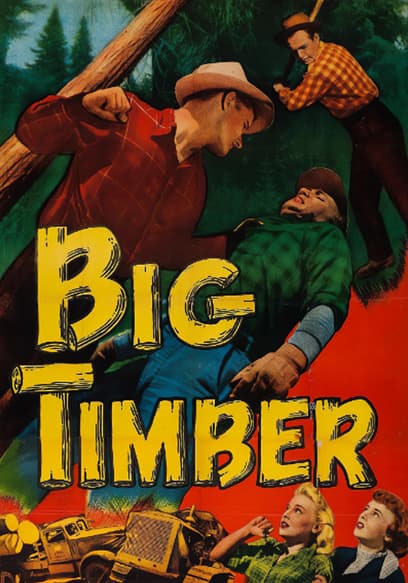 Big Timber