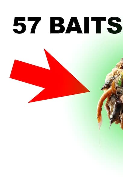 Póster de S01:E08 - Fish Bait Bonanza