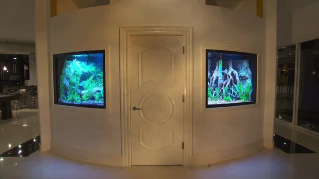 S11:E07 - Going for the Gold(fish)