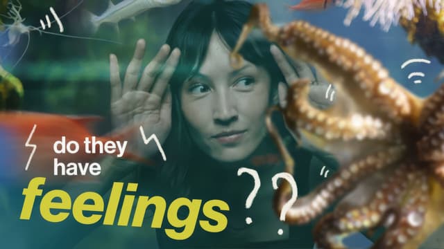 S01:E04 - Which Animals Are Sentient?