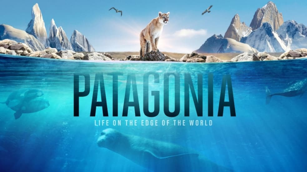 Nature Docuseries: Watch Free Online | Tubi