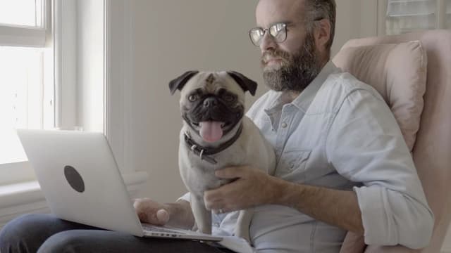 S01:E14 - Making Babies / Dog's Nose