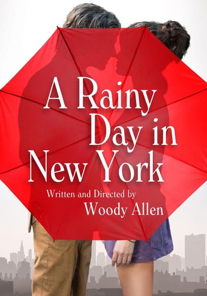 A Rainy Day in New York