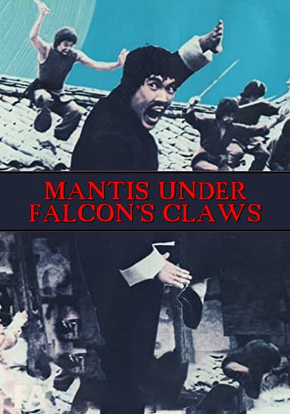 Mantis Under Falcon's Claws