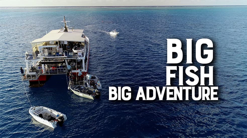 Watch Big Fish Big Adventure Streaming Online | Tubi Free TV