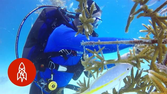 S01:E19 - Nature's Human Caretakers