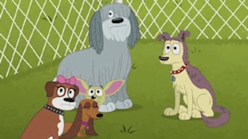 Watch Pound Puppies S01:E08 My Fair Rebound Free TV Shows Tubi