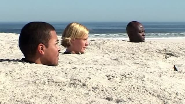 S01:E11 - Episode 11