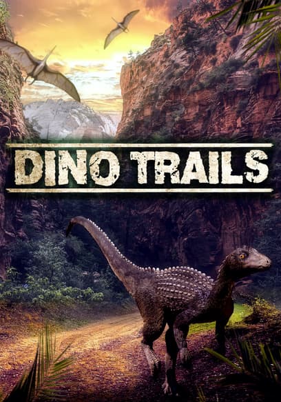 Dino Trails