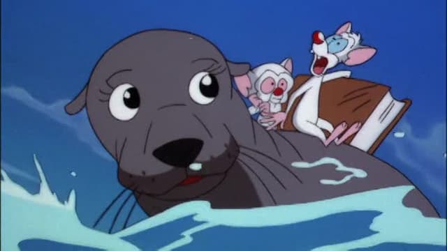 S03:E21 - Operation Sea Lion / You Said a Mouseful