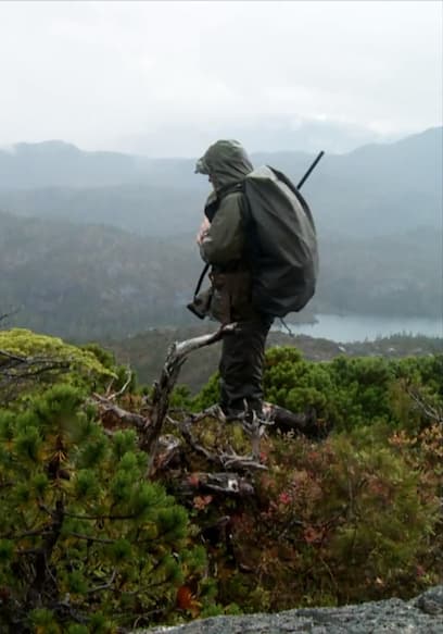 S01:E01 - Into the Clouds: Sitka Blacktail Deer poster