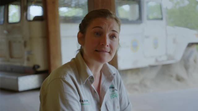 S01:E03 - Koala Rescue