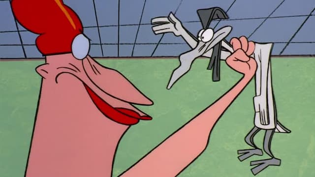 S02:E13 - Bad Chicken/Stay Awake/I.R. Wild Baboon