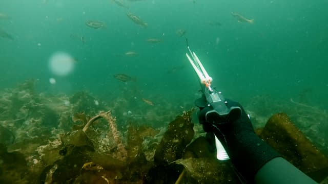 S02:E04 - Scottish Seafood Safari (Pt. 2)