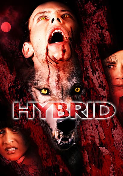 Hybrid poster