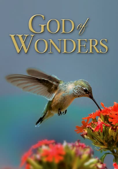 God of Wonders