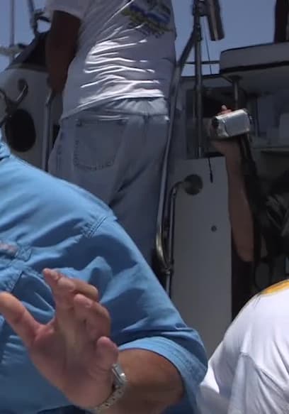 S28:E08 - Buena Vista Billfish poster