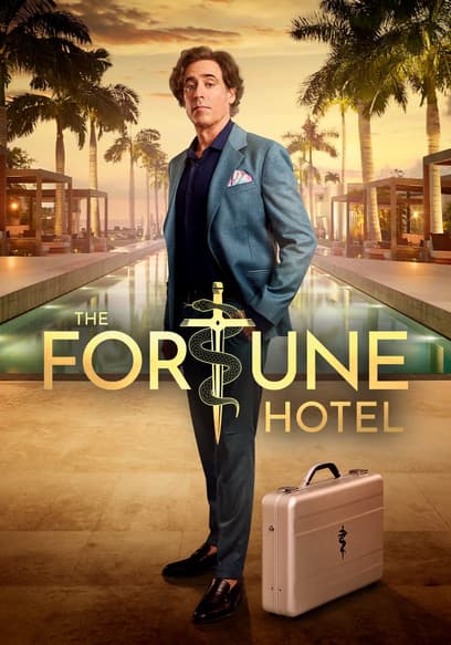 The Fortune Hotel poster