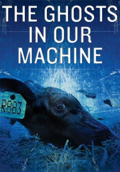 The Ghosts in Our Machine