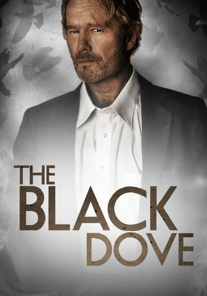 The Black Dove poster