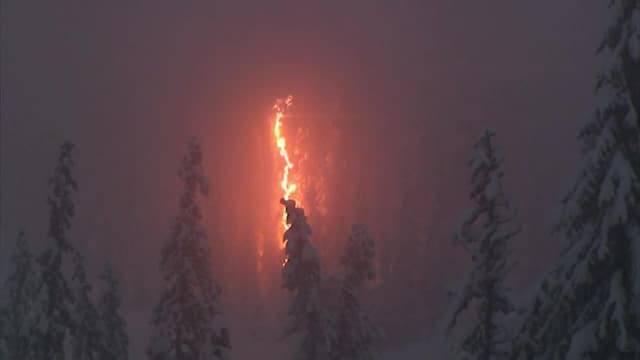 S02:E09 - Wrath of Thor