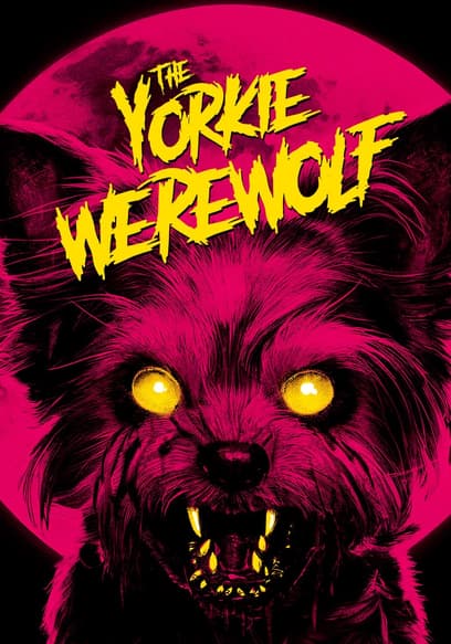 The Yorkie Werewolf