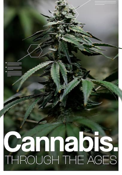 Cannabis: Through the Ages