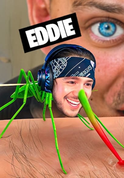 S04:E12 - Hide & Seek: Mosquito Mayhem poster
