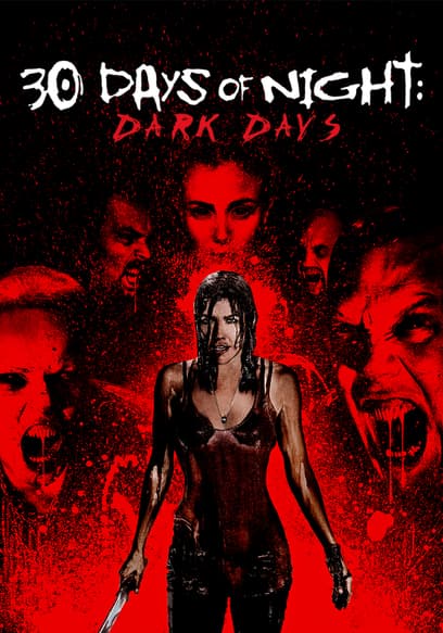 30 Days of Night: Dark Days