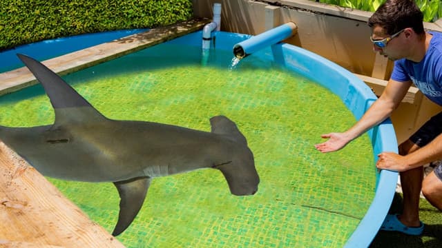 S01:E20 - Mega Shark Trap