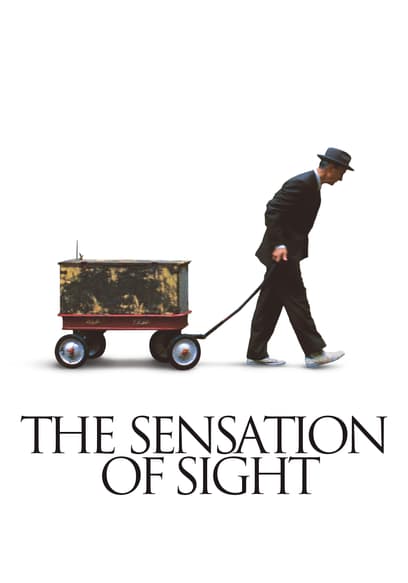 The Sensation of Sight