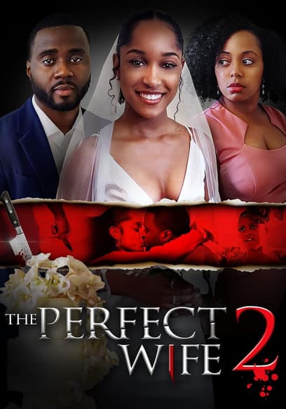 The Perfect Wife 2