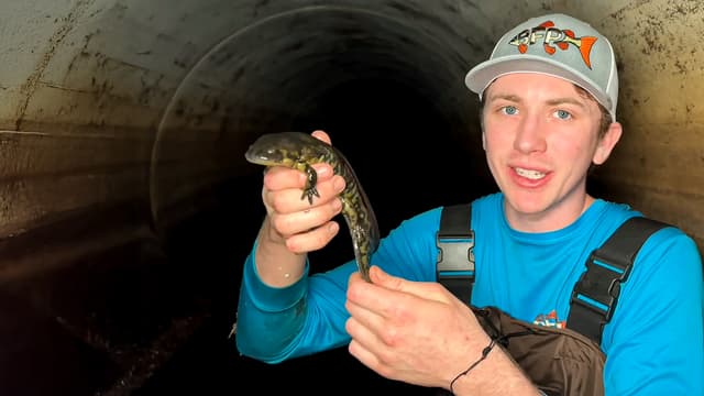 S01:E01 - I Found Axolotls in a Hidden Tunnel