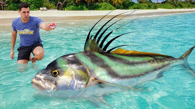 S01:E08 - FIshing With Poke Balls